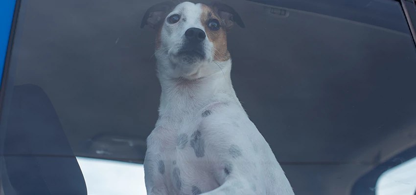 Car Lockout Solutions in Rio del Mar, California